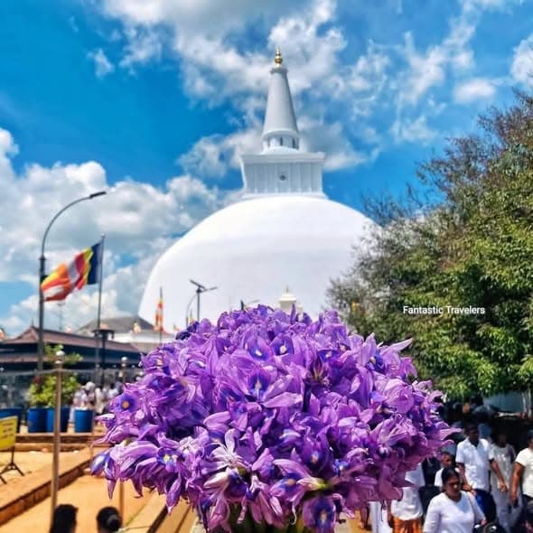 සසිදු හොලිඩේ හෝමි